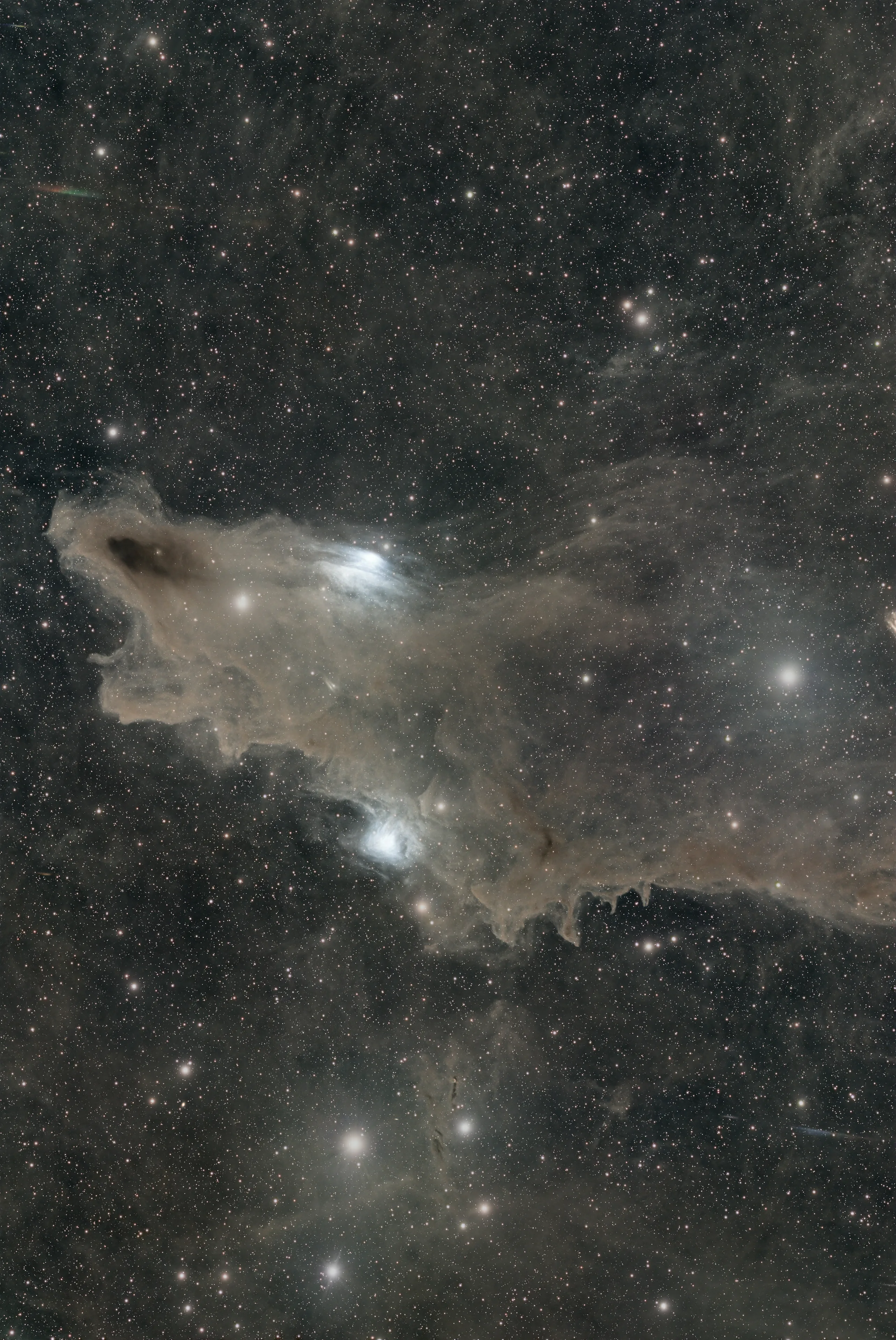 The Shark Nebula, a dark dust cloud with blue reflection nebulae vdB 149 and vdB 150